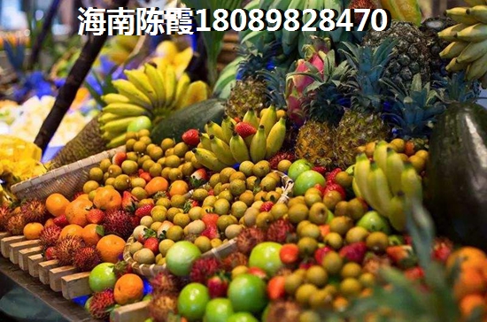 海南購房子XG政策