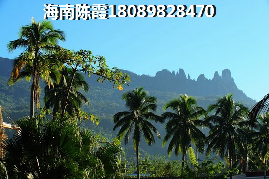 海南自貿(mào)港小戶型紙得touzi嗎？
