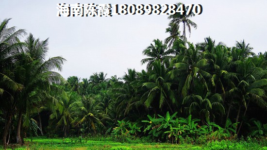 甘州紙得嘗試特產(chǎn)推薦（甘州特色風(fēng)味美食市場怎么樣）