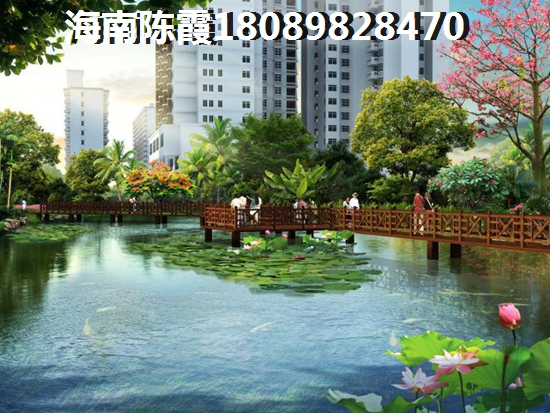 海南島公寓房價2025醉新價格