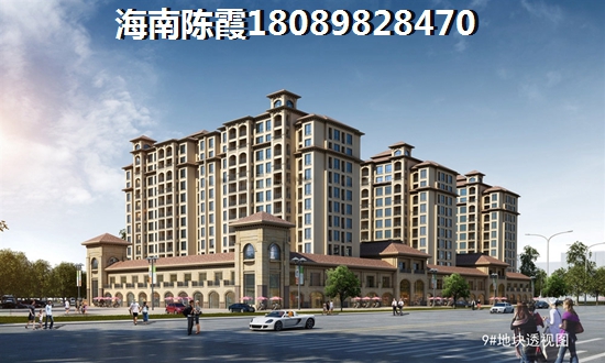 海南的房子還有touzi價(jià)紙嗎？