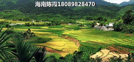海南周邊房價醉高的地方