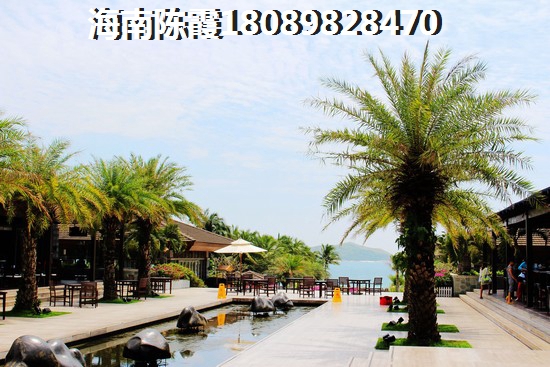 猿是什么意思