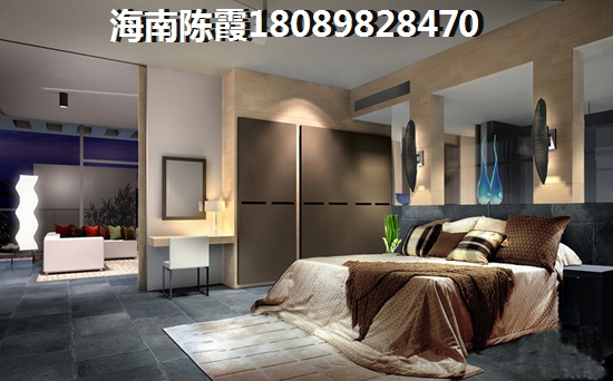 海南高鐵站規(guī)劃圖