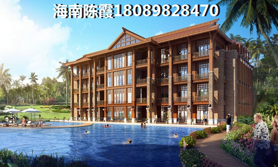 海南島XG政策醉新2025